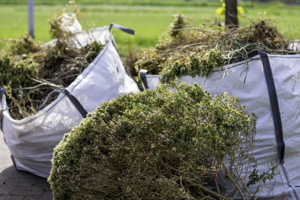 Cost of Bushes Clearing in Valparaiso
